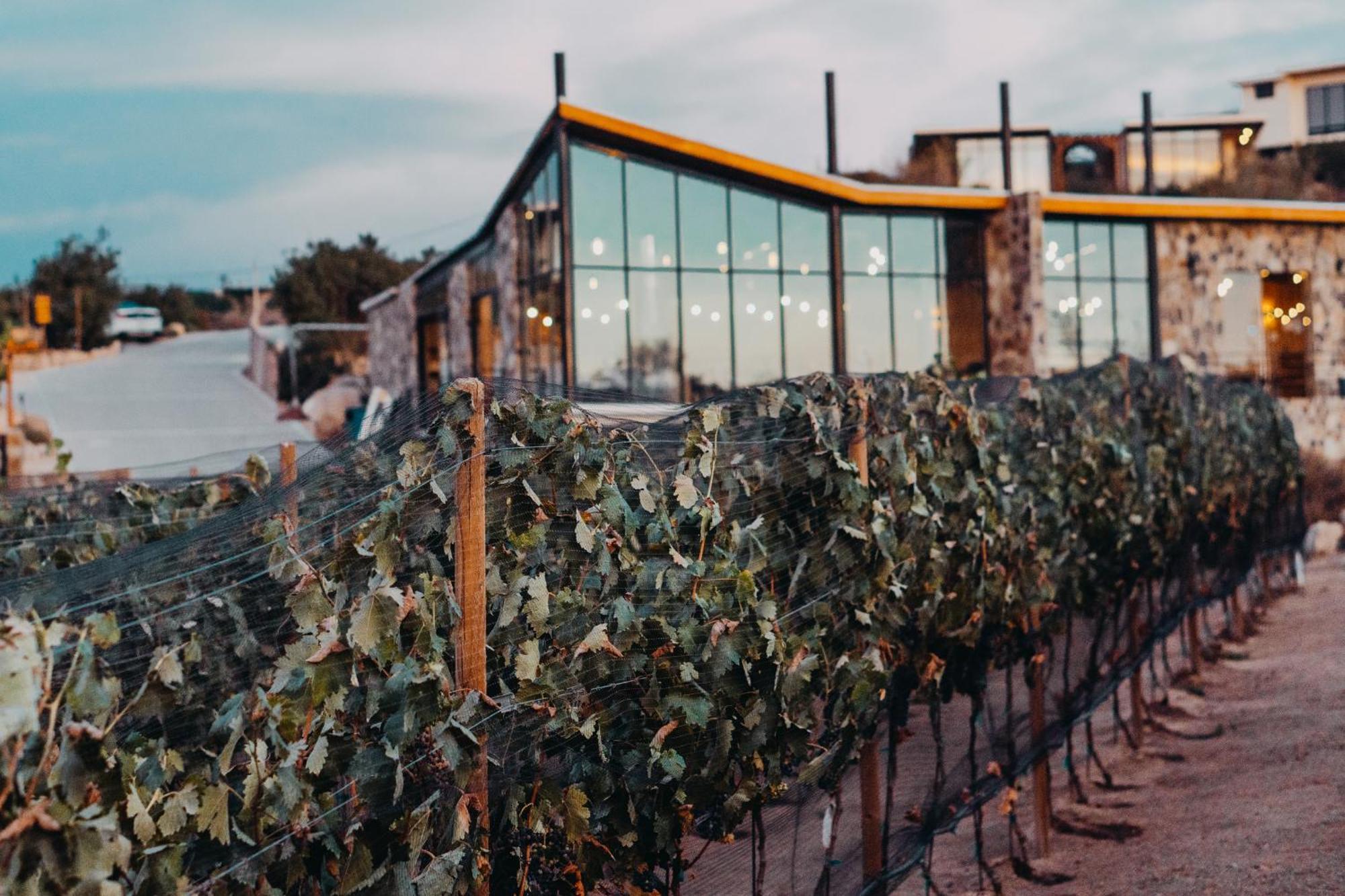 Contemplacion & 5* Valle de Guadalupe